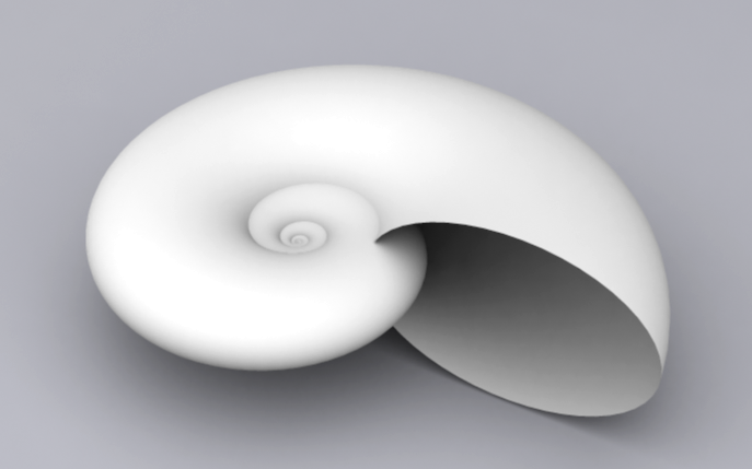 Snail Euhoplites.png